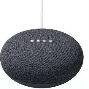 Google Nest Mini